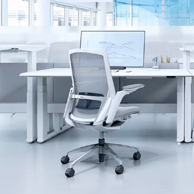 Immagine di Supporto lombare per sedia FINORA colore nero