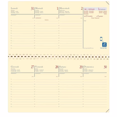 Immagine di Ricambio agenda QuoVadis Planital 17x8,8 avorio
