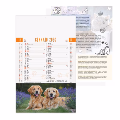 Immagine di Calendario da muro cm 28,8x47 Cani e Gatti 100+