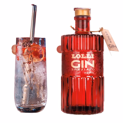Immagine di Lolli Gin Speziato 500ml in tubo di latta
