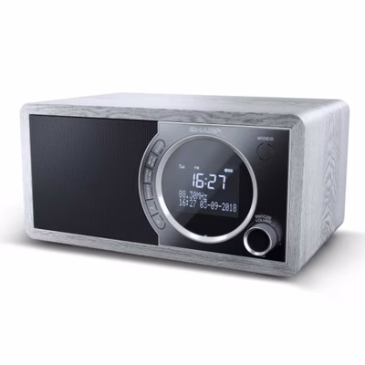Immagine di Radio digitale dr450 grey