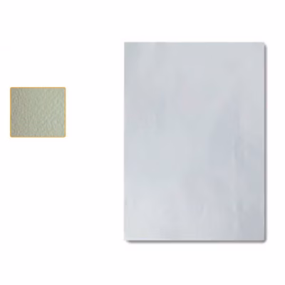 Immagine di Carta Tintoretto A4 crema 95g neutra