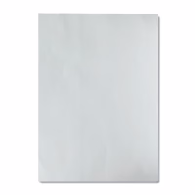 Immagine di Carta Modigliani A4 bianca 95g neutra