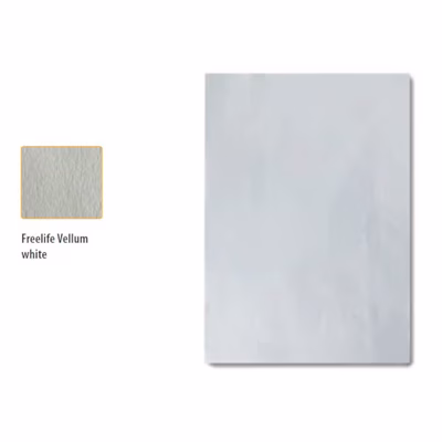 Immagine di Carta Freelife A4 bianca 100g neutra