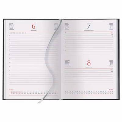 Immagine di Interno cartonato per agende cm 17x24 giornaliero sab/dom abbinati