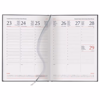 Immagine di Interno cartonato per agende cm 17x24 settimanale