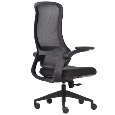 Immagine di Sedia semidirezionale TAYCAN schienale in rete braccioli ribaltabili nera