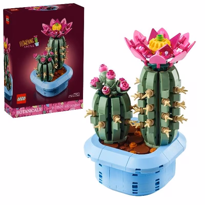 Immagine di Costruzioni LEGO Cactus in fiore 11509A